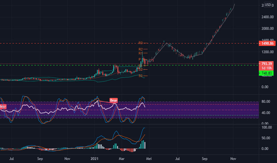 BCH to USD | How much is Bitcoin Cashs in USD