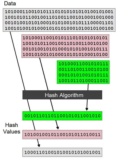 What Is the Purpose of Crypto Hashing? - TransitNet