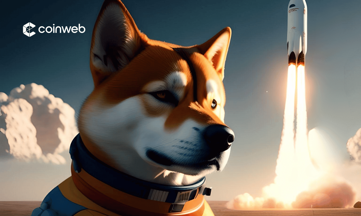 Convert DOGE to USDT ( Dogecoin to Tether)