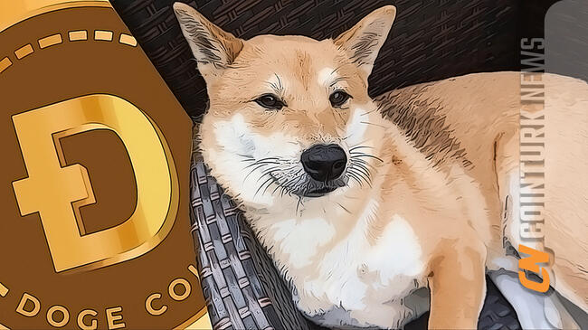 1 DOGE to PHP - Dogecoin to Philippine Peso Converter - helpbitcoin.fun