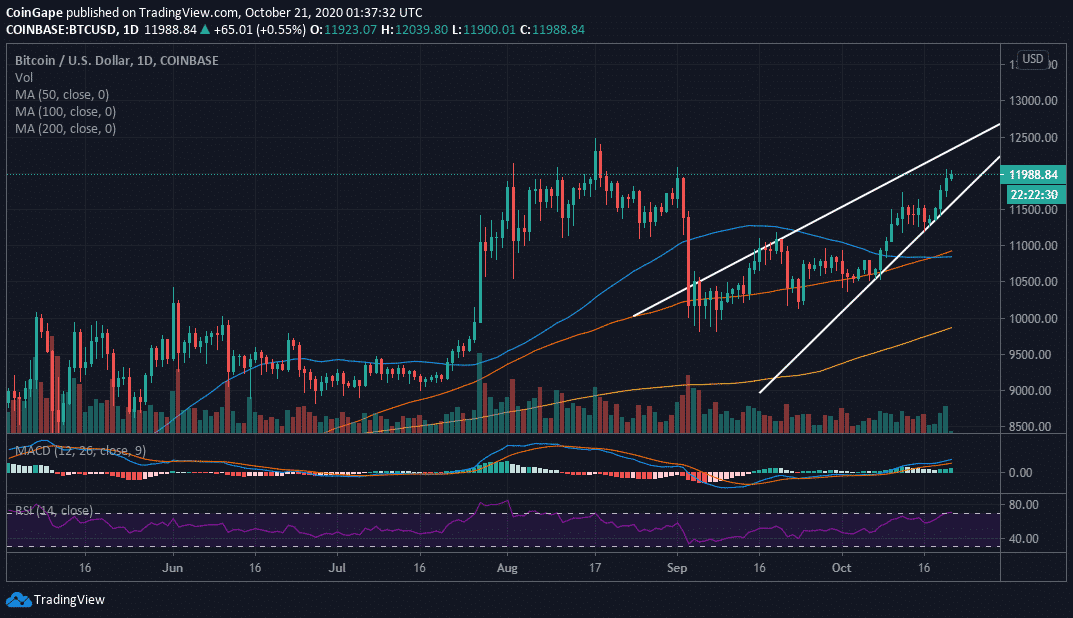 Bitcoin Technical Analysis for Beginners