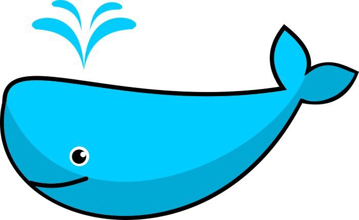 What Are Crypto Whales & Why Do They Matter? - Phemex Blog