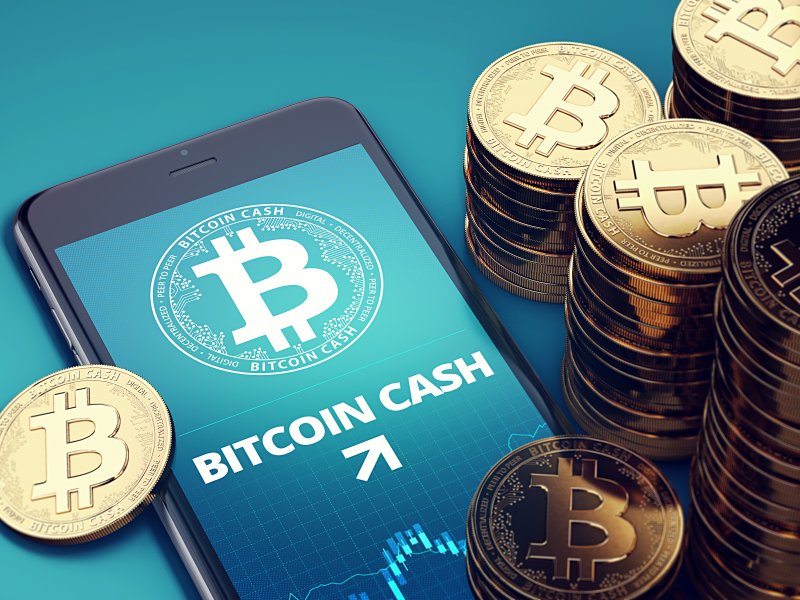 Upcoming Bitcoin Cash Halving Date - BCH Halving Countdown