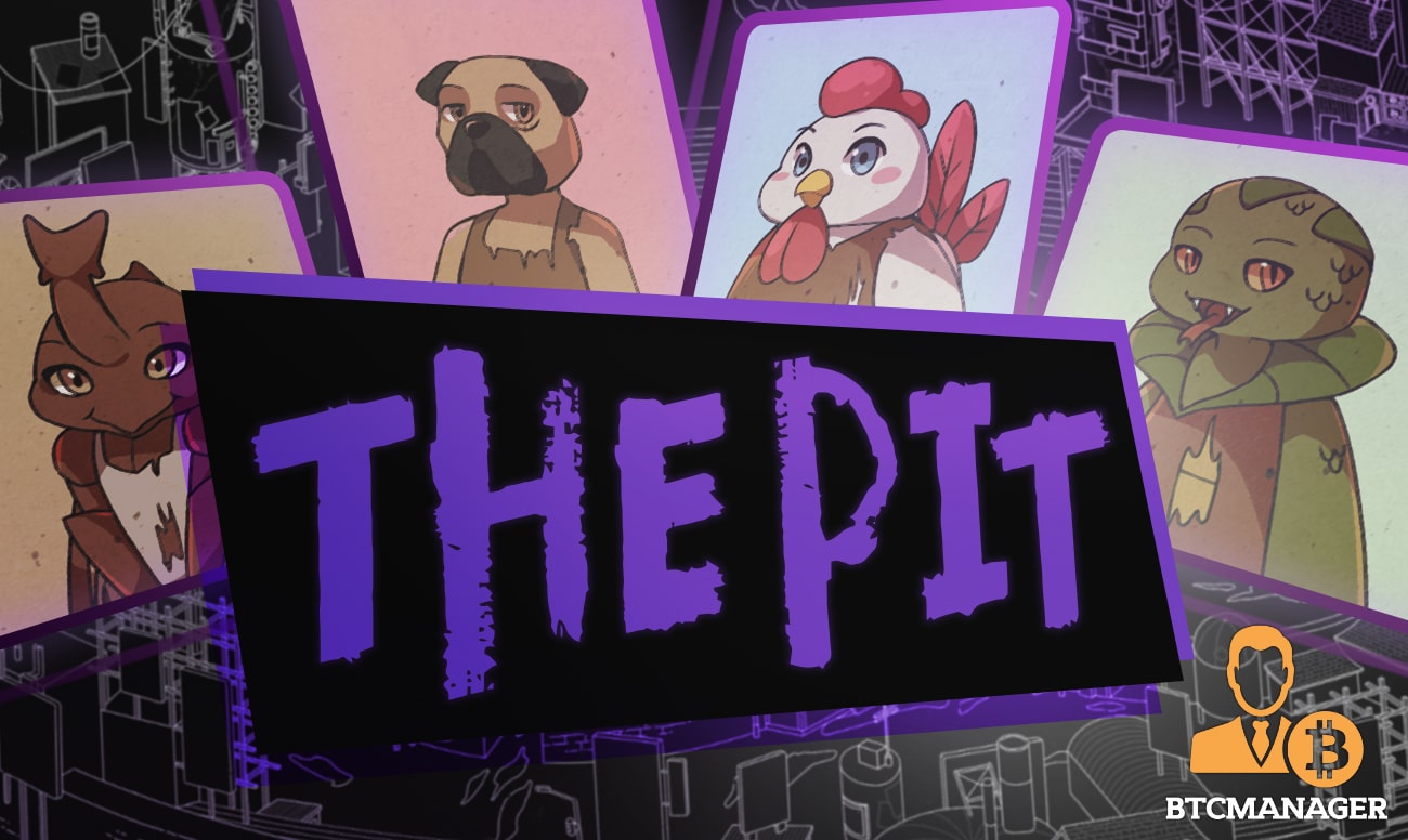PIT Coin: what is Pitbull? Crypto token analysis and Overview | helpbitcoin.fun