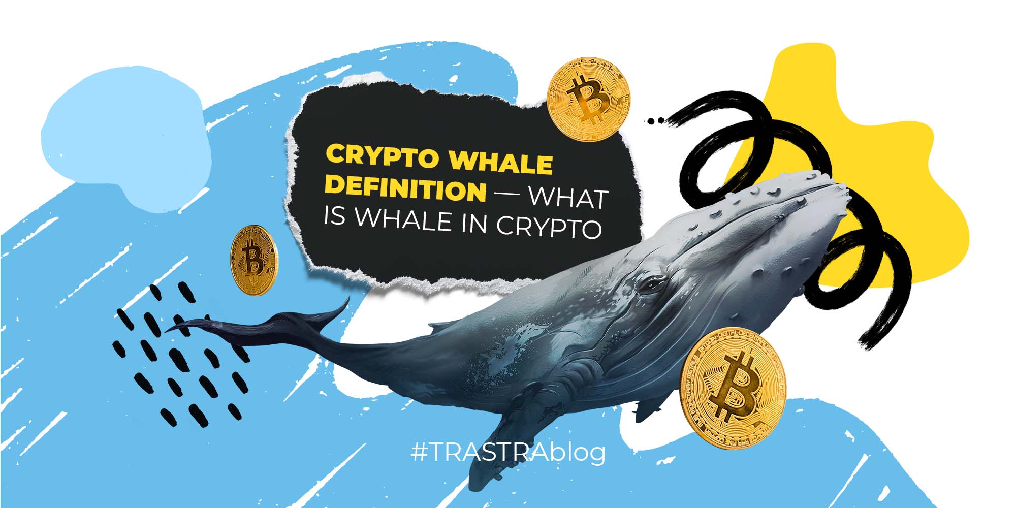 What is a crypto whale and how do they affect the markets? | OKX