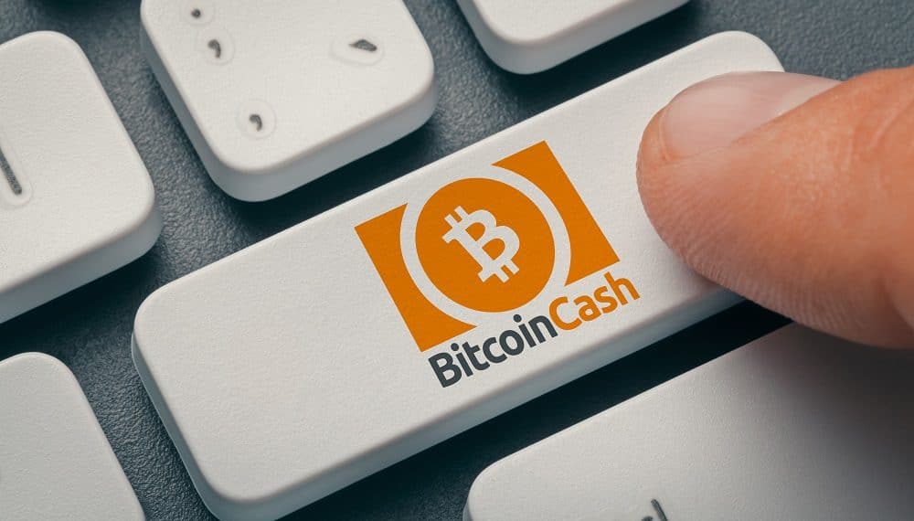 What Is Bitcoin Cash? There’s More Than One Bitcoin | Gemini