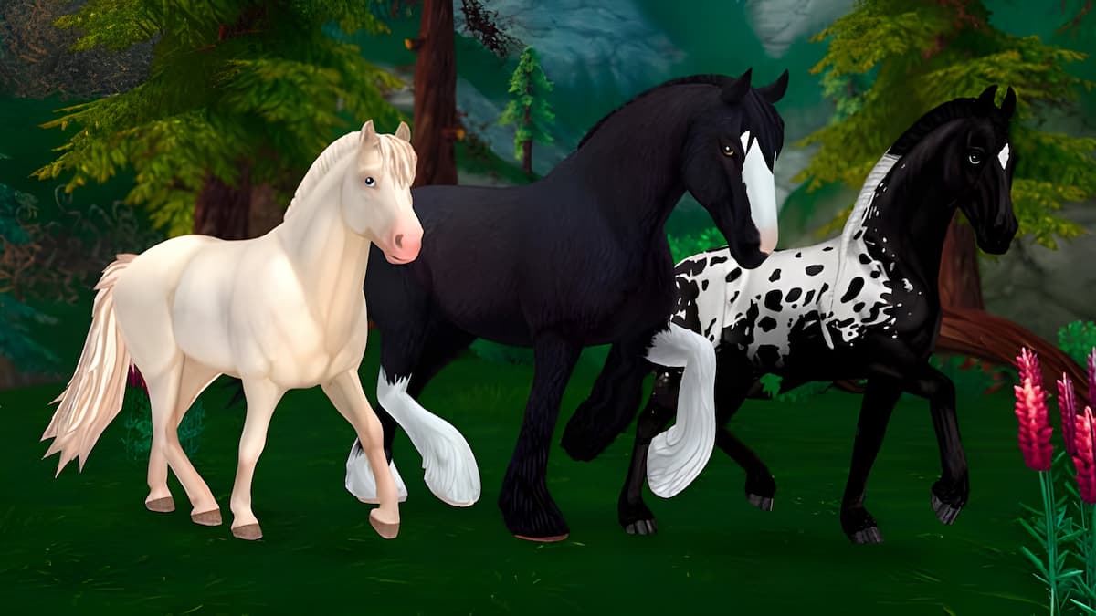 Star Stable Codes January - Cosmetics, Star Coins & more