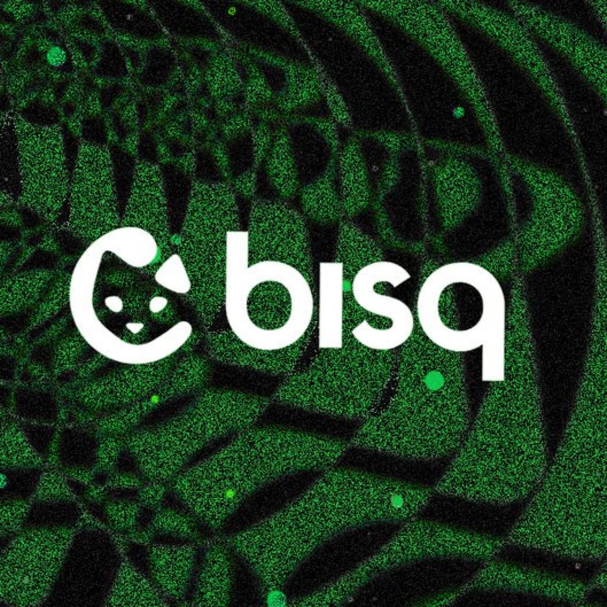 Bisq Review | Is it actually good in ?