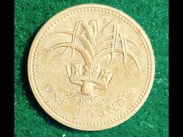 1 Pound - Elizabeth II (3rd portrait; Welsh Leek) - United Kingdom – Numista