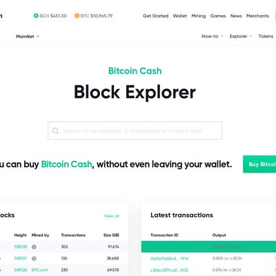 Bitcoin Cash Explorer