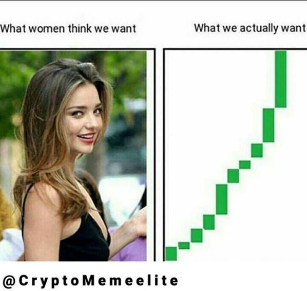 40 Funny Crypto Memes For Anyone Hodling Right Now | Memes, Bitcoin, Laugh at yourself