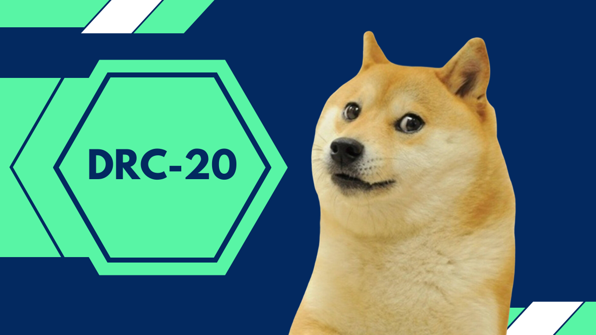 Shiba Inu (SHIB) and Dogecoin (DOGE) Gains Lead CoinDesk 20 (CD20) Higher