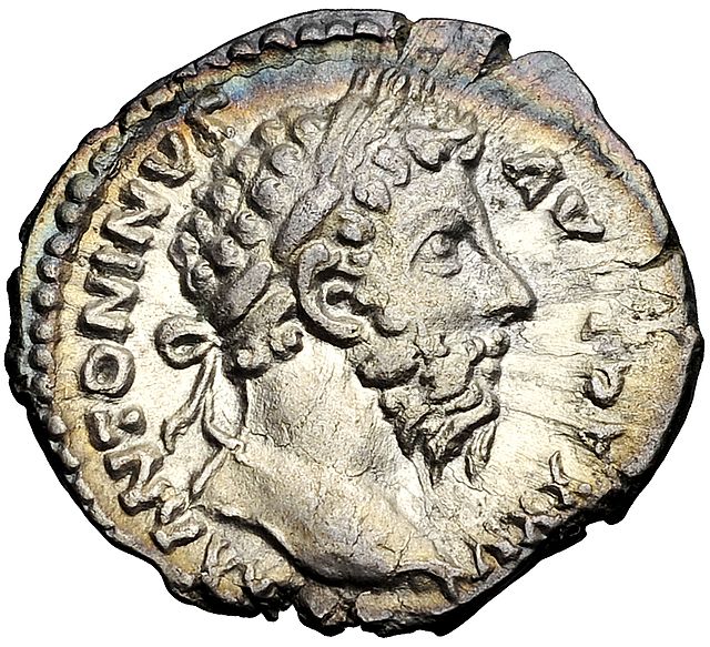 Can These Ancient Roman Coins Make You Money in ? - Silverpicker