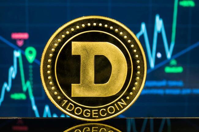 DOGE to IDR - Convert Dogecoin to Indonesian Rupiah | CoinChefs