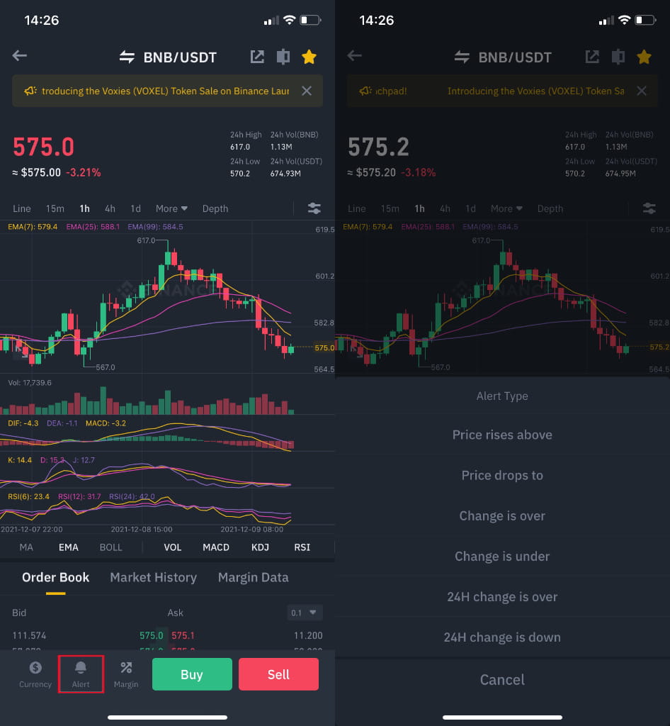 Binance Coin Price Chart — BNB USD — TradingView