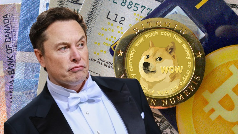 Elon Musk warns investors not to ‘bet the farm on Dogecoin’ | Fortune Crypto