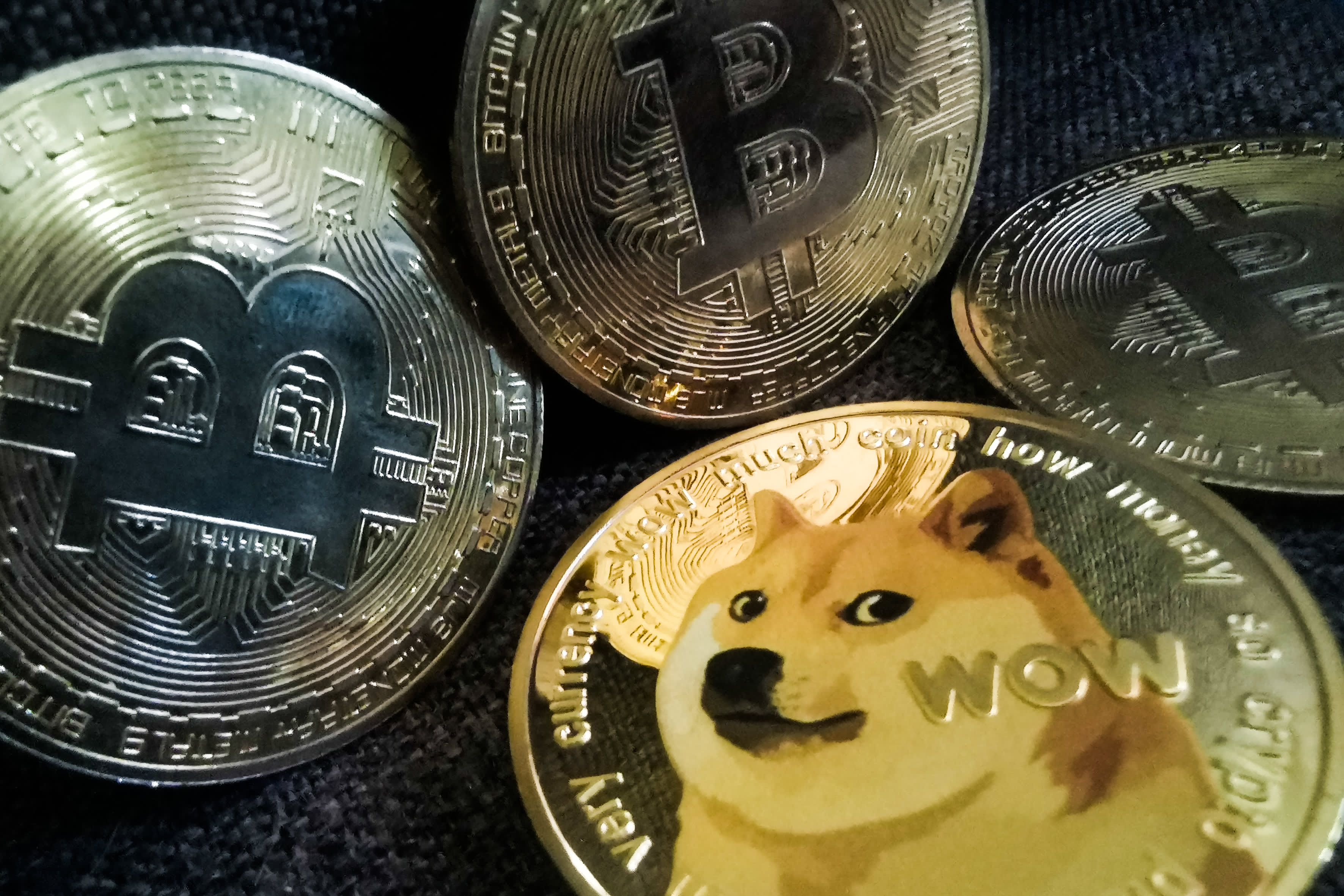 Transfer Money to United States Anonymously with Dogecoin (DOGE) to your recipient's Perfect Money