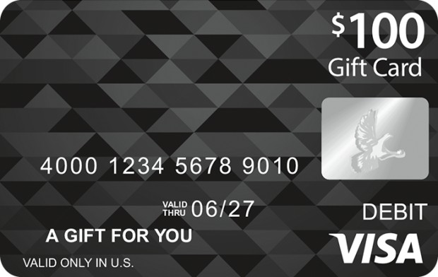 A Complete Guide on How to Use a Visa Gift Card Online