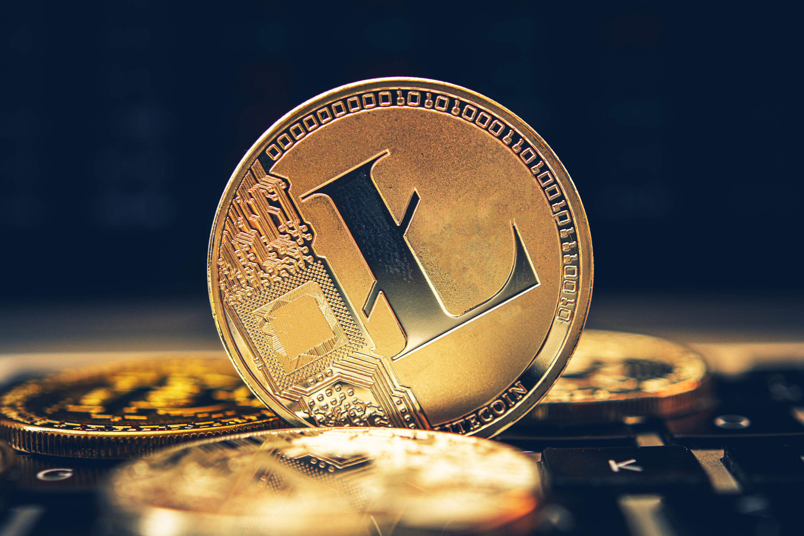 Litecoin crypto ETP: regulated & easy LTC exposure | CoinShares ETP