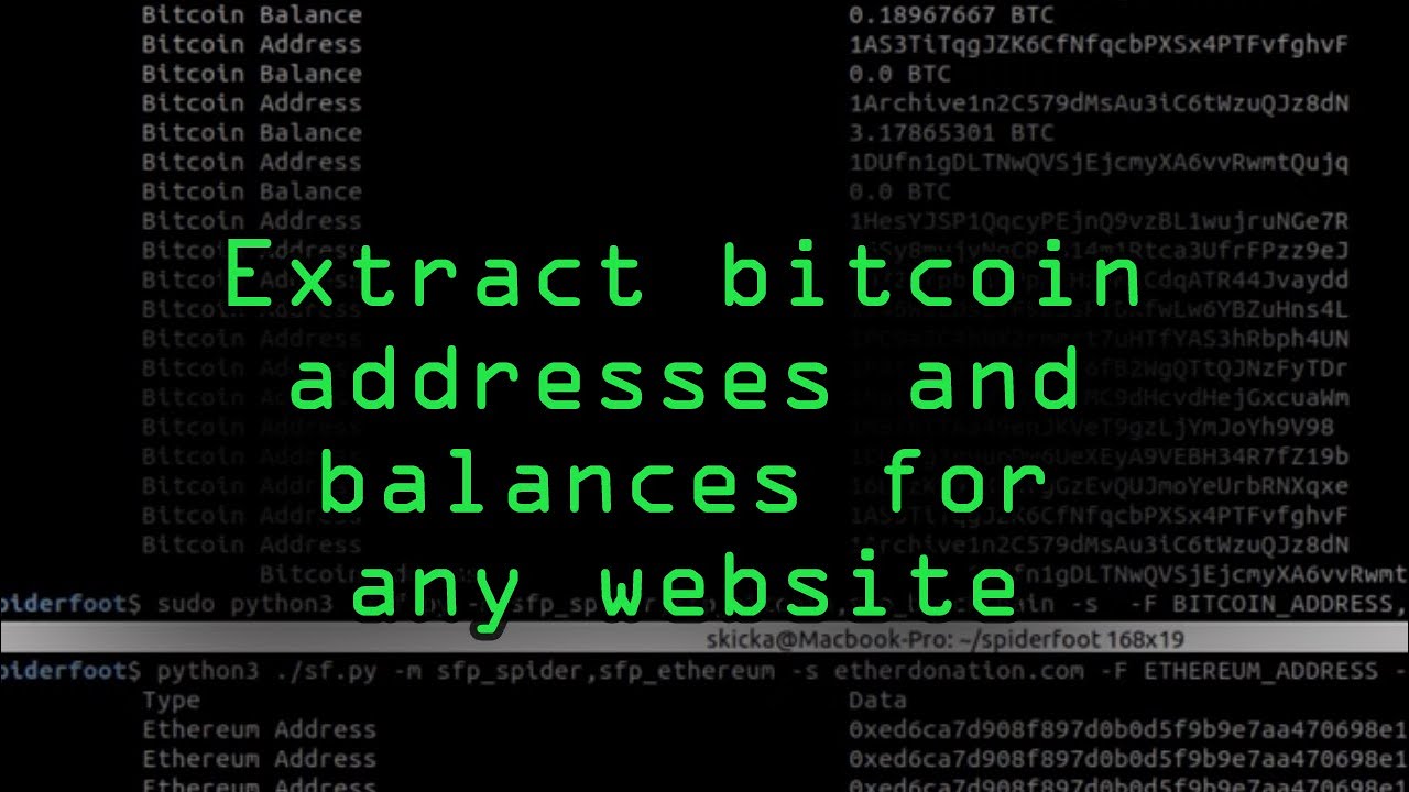 GitHub - Levitara26/Btcbf: Bitcoin private key brute force tool… by Levi Evans