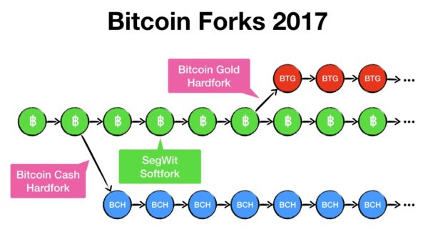 What Are Bitcoin Forks?