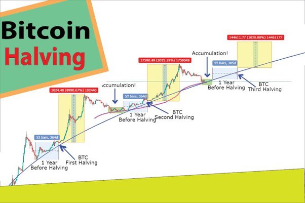 Bitcoin Price Prediction After Halving [What To Expect] | CoinCodex