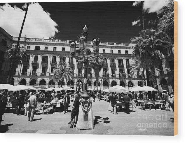 Guadalhorce Food Market and other events. | Ayuntamiento de Coín