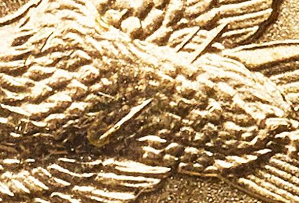 Sacagawea Dollar Key Dates, Rarities and Varieties