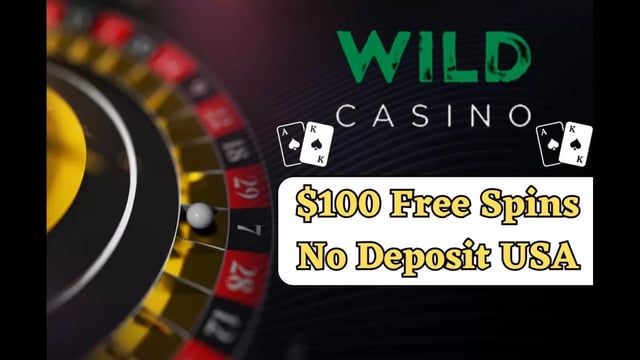 Best No Deposit Casino Bonuses (Free Spins, No Deposit Bonus Codes)