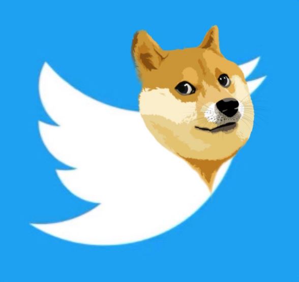 For DOGE and Bitcoin, Elon Musk’s Twitter-to-X Rebranding Could Be Huge