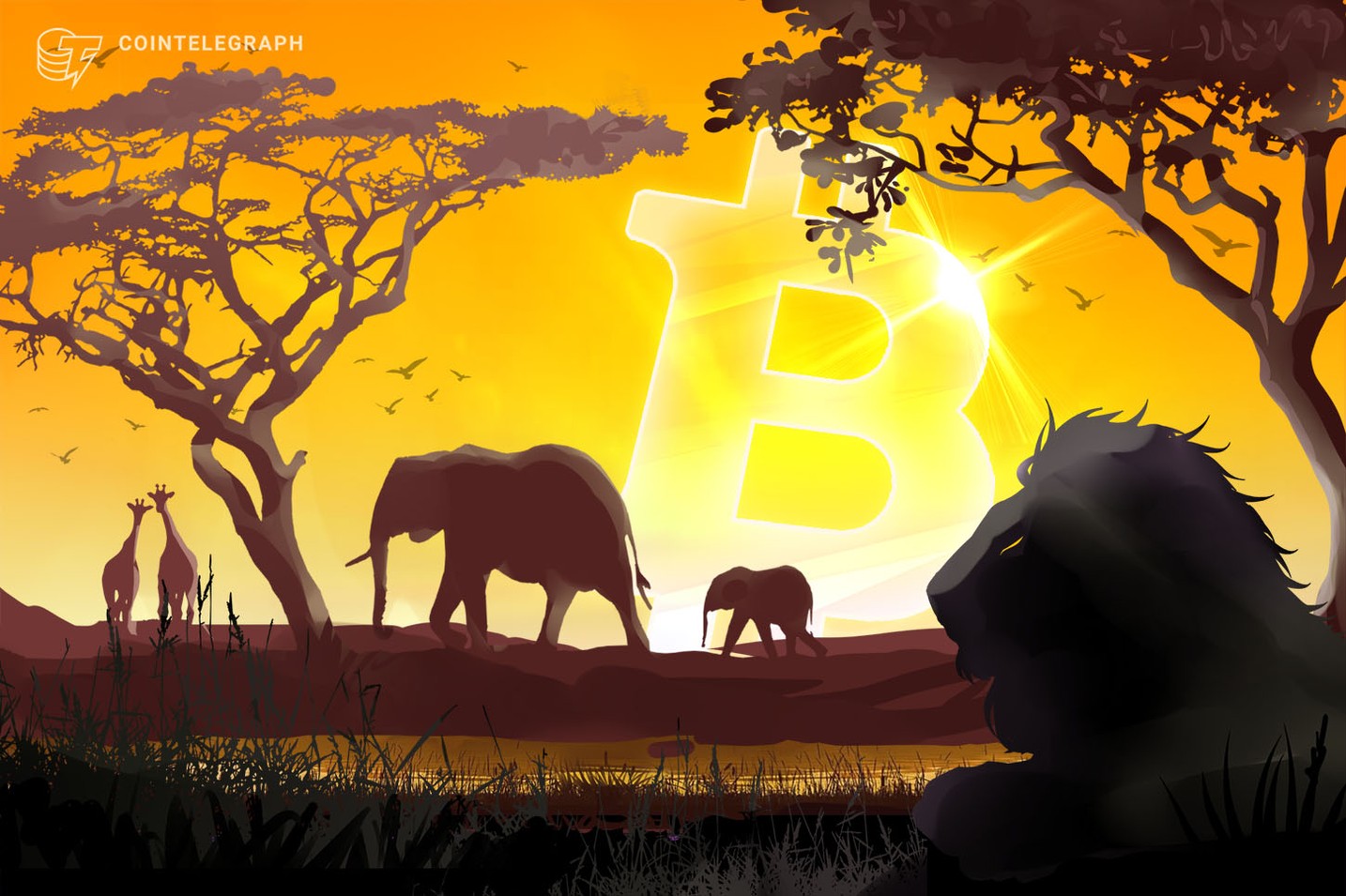 Africa could be the next frontier for cryptocurrency | Africa Renewal