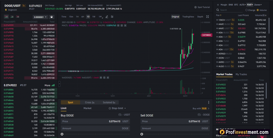 Exchanger CoinCat. Info, comments and votes