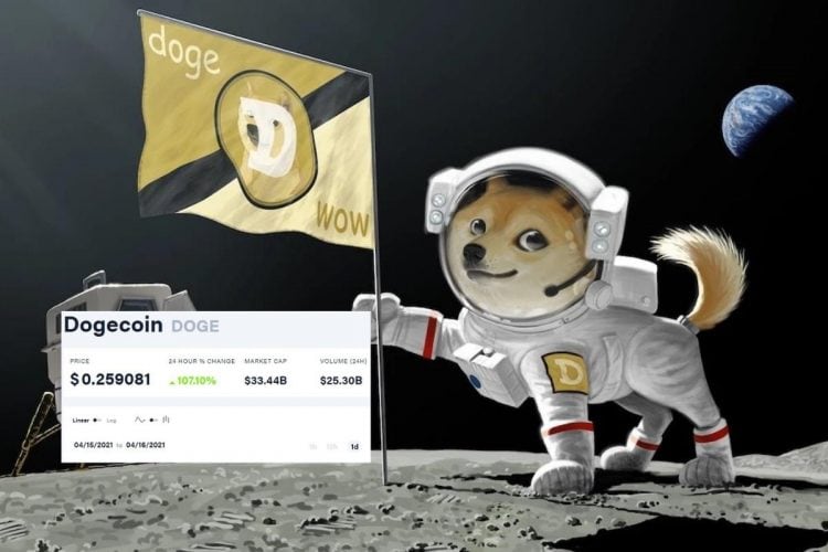 Dogecoin Price Prediction: , , , - 