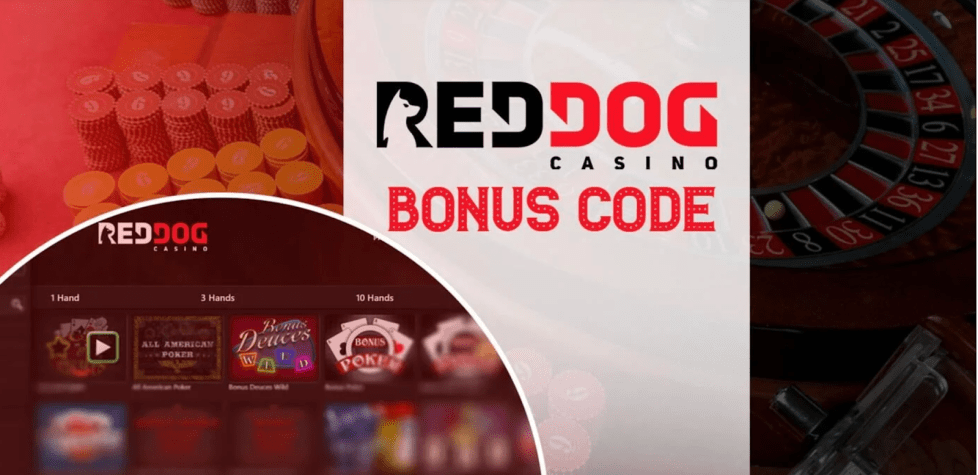 Top No-Deposit Casino Bonuses in South Africa - February | helpbitcoin.fun South Africa