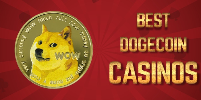 15+ Best Dogecoin Casinos (DOGE): Our Top Picks Ranked!