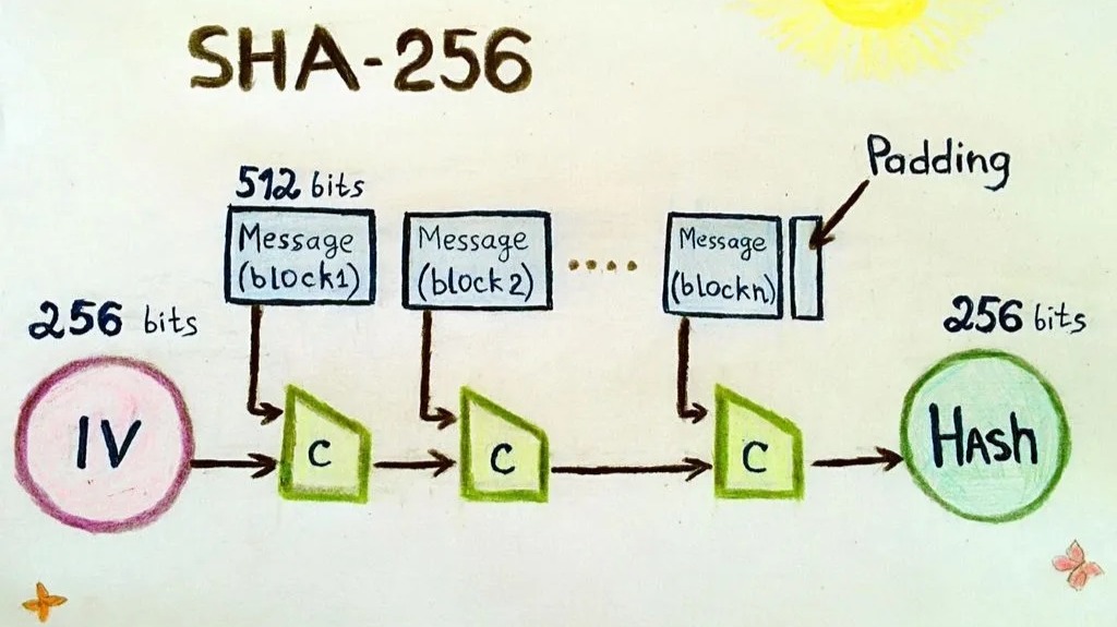 SHA The Most Used Hash Function in Cryptocurrencies