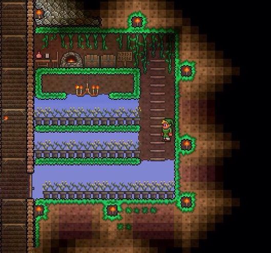 Terraria: How To Get Red Potions & What They Do