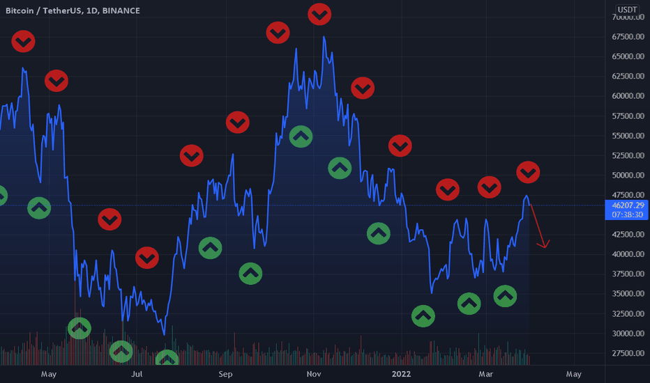 CoinMarketCap Daily, July Bitcoin to the Moon? | CoinMarketCap