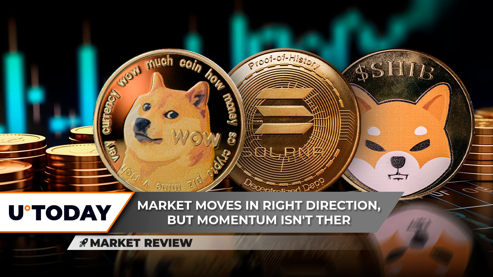 50 Dogecoin to Bitcoin or convert 50 DOGE to BTC