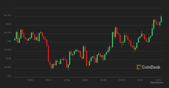 Bitcoin Cash Price | BCH Price Index and Live Chart - CoinDesk