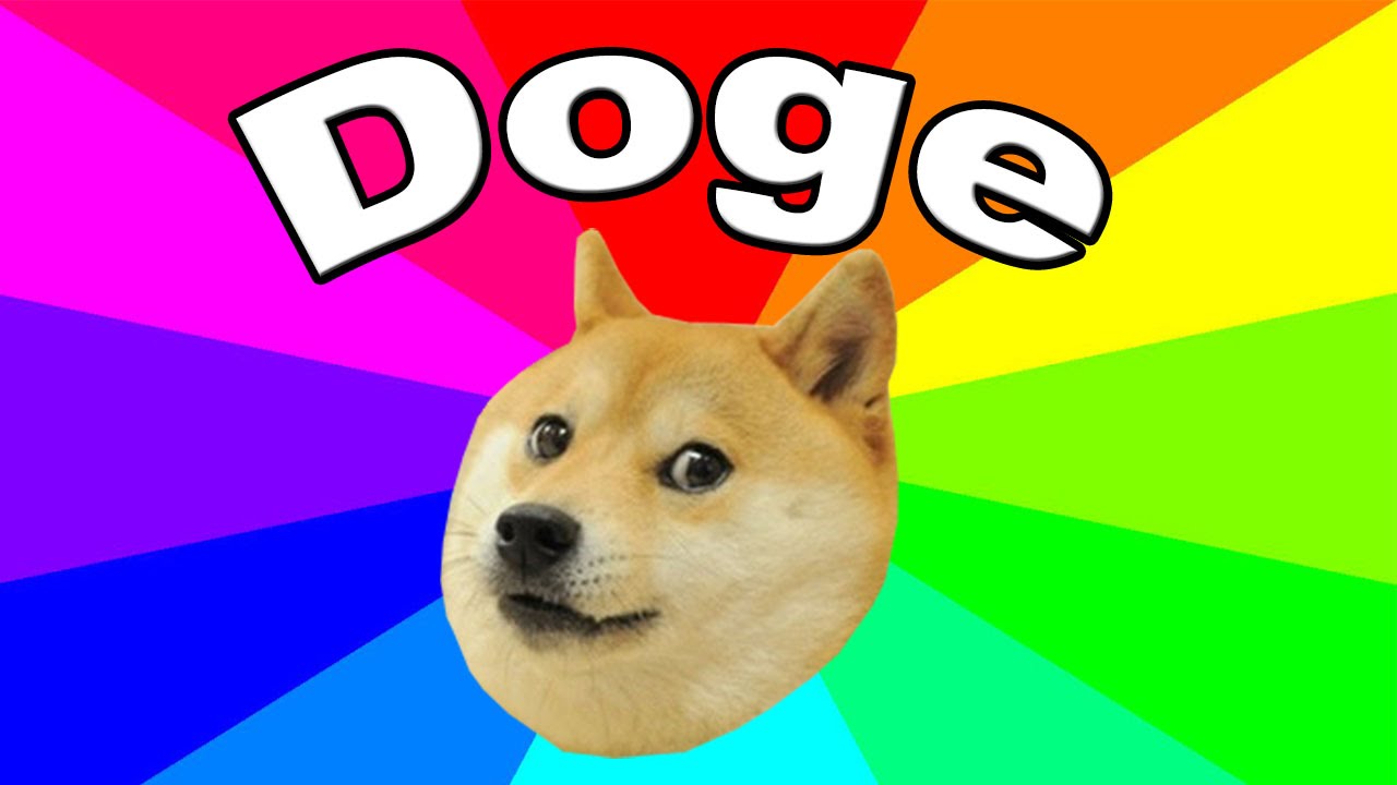 Doge NFT Auction | Doge