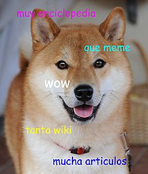 Home · dogecoin/dogecoin Wiki · GitHub