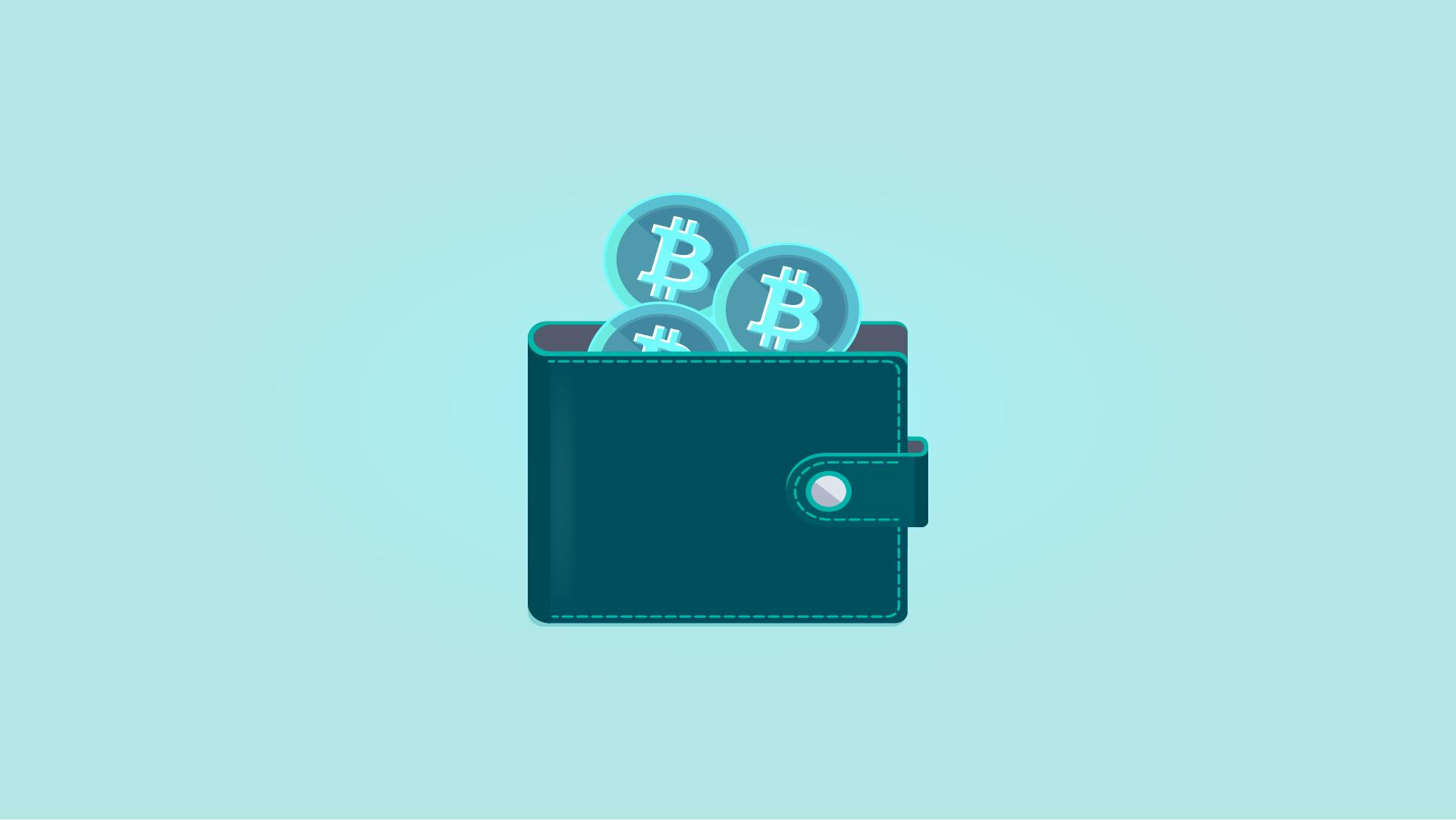 BEST Crypto Hardware Wallets of Top Crypto Wallets Reviewed