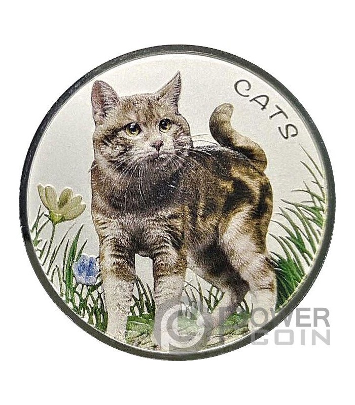 Catcoin - World's Best Community Driven Coin