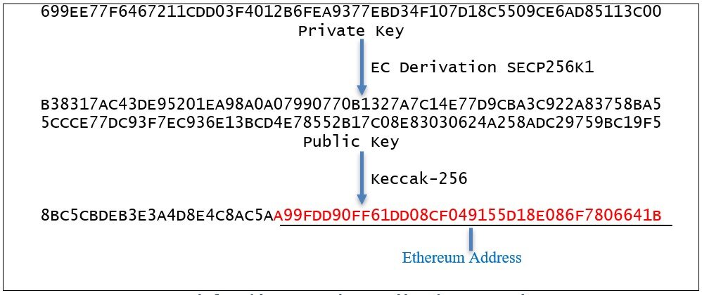 Public and Private Keys - Bitcoin Wallet | Leather