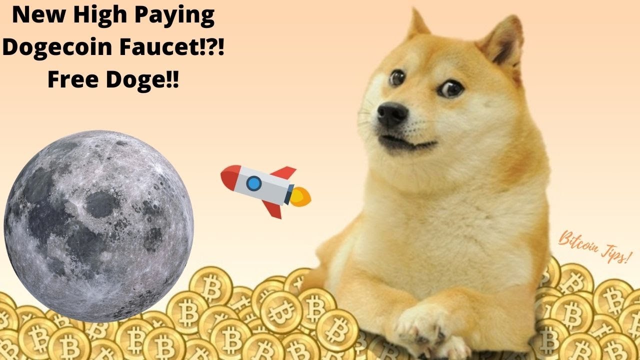 Moon Dogecoin | Dogecoin: The Definitive Guide