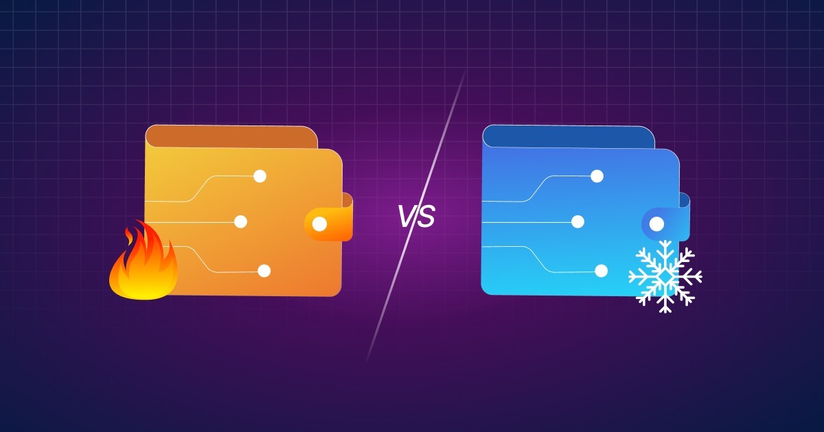 Hot Wallet vs Cold Crypto Wallet: What’s The Difference? | Ledger