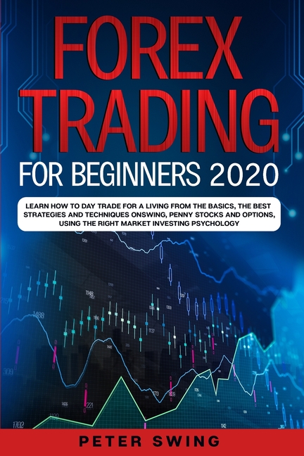 Forex Trading Guide for Beginners book by Norman Davison