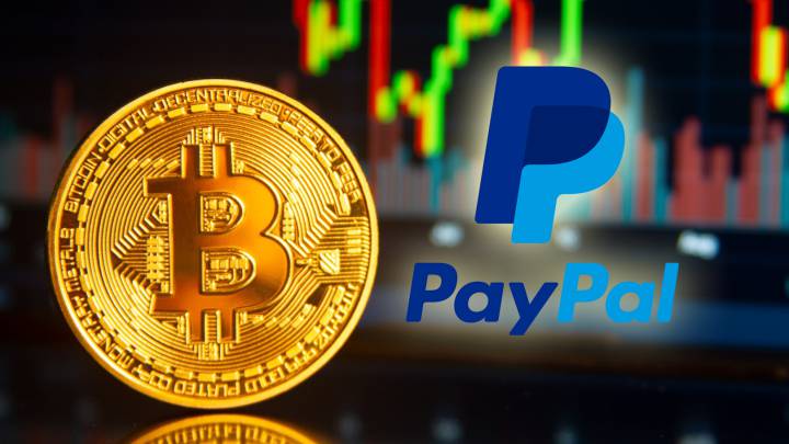 PayPal USD Price | PYUSD Price Index and Live Chart