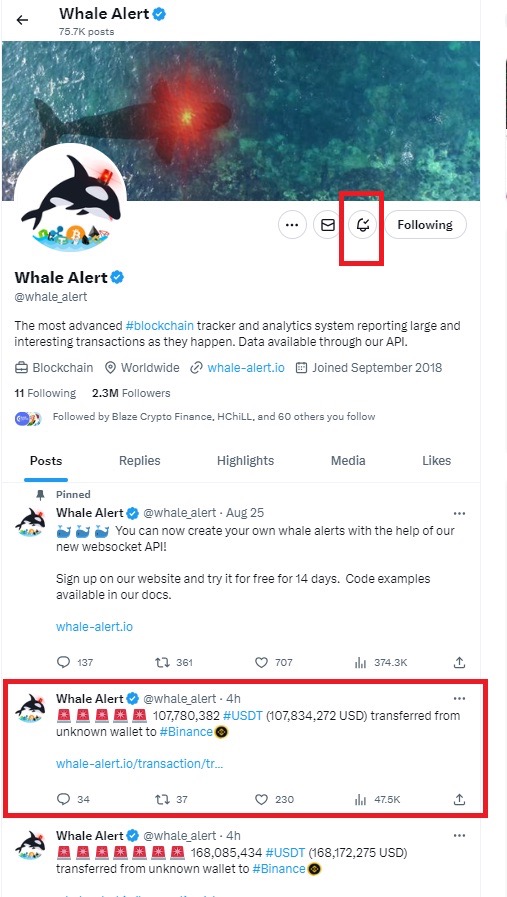 Looking At Twitter's Recent Whale Trades